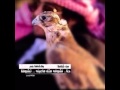 شيلات من شافنا بعين
