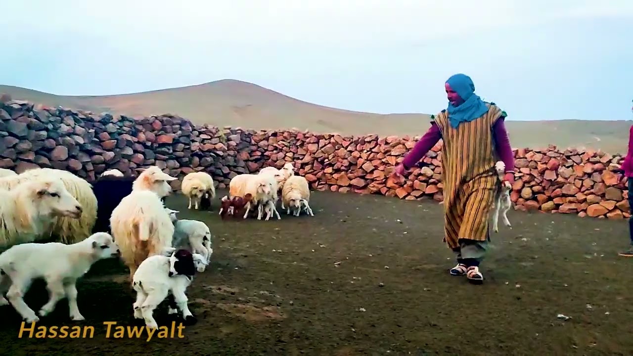 إفنوان منطقة جبلية تقع في جماعة تاويالت اقليم تارودانت