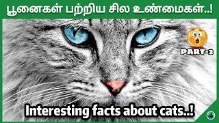 Interesting facts about cats | Cat facts | Cats | Cat activity | Part-2 | Tamil | BioWorld | BW