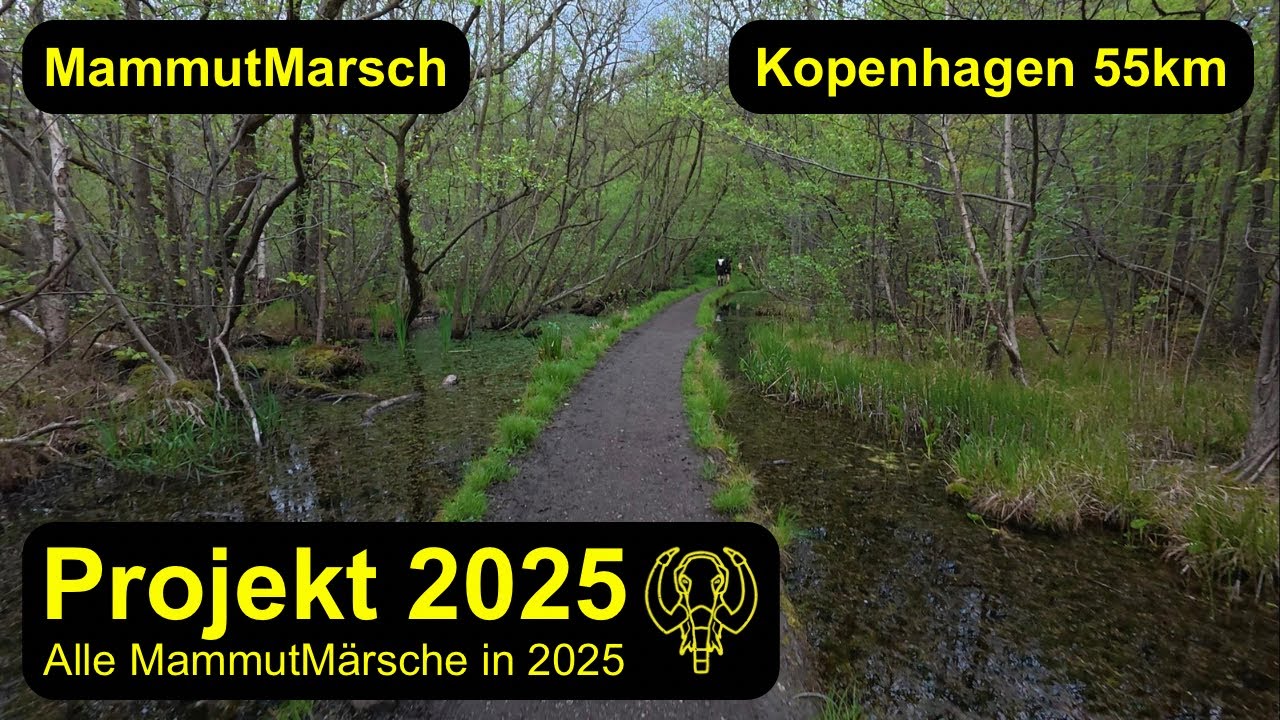 MammutMarsch Kopenhagen 55km 2025 | Catching the first Mammoth?