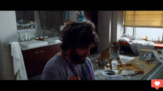 Alan saw tiger funny scene from the hangover