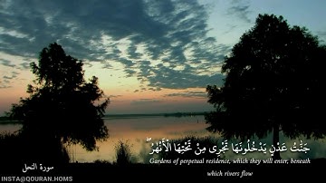 بعيداً عن ضجيج الحياة تلاوة بصوت أحمد النفيس | سورة النحل