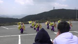 伊勢天照連20150426_第29回よさこいソーランフェスティバル in 朝熊[4K]