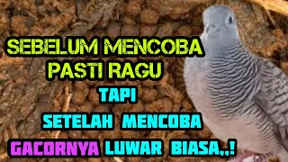 Sebelum mencoba pasti ragu,,!! tapi setelah mencoba GACORNYA luwar biasa @mangoendjoyochannel8053