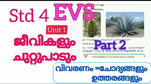Class 4 new book EVS unit 1 jeevikalum chuttupadum /ജീവികളും question &answers #braintechedu