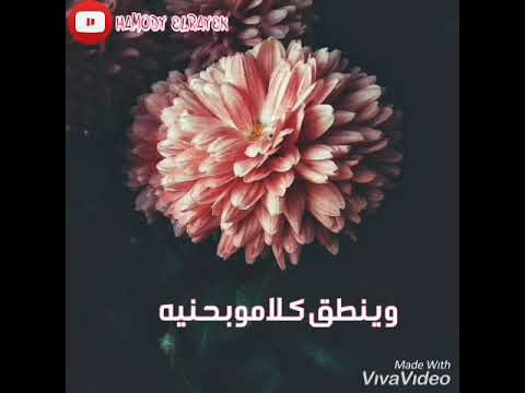 اغنيه بيسلم عليا محمد عدويه حاله واتس