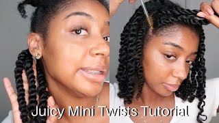 Mini Twists Tutorial | Natural Hair Update | Secret Product for Hair Growth!