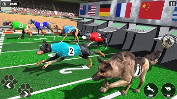 Dog Racing Championship Game - Android Gameplay