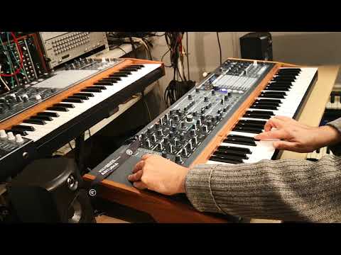 Improvisation for "Floating Days" by Olivier Briand with Arturia Polybrute