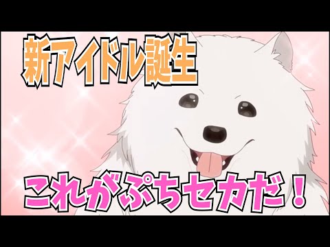 【プロセカ】ぷちセカ8話は嫉妬するしかなかった