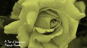 A Tale of Vengeance - Aakash Gandhi | 1 Hour