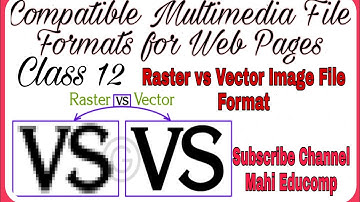 Raster and Vector Image File Format |Compatible Multimedia File Formats for Web Pages | Web App 12th