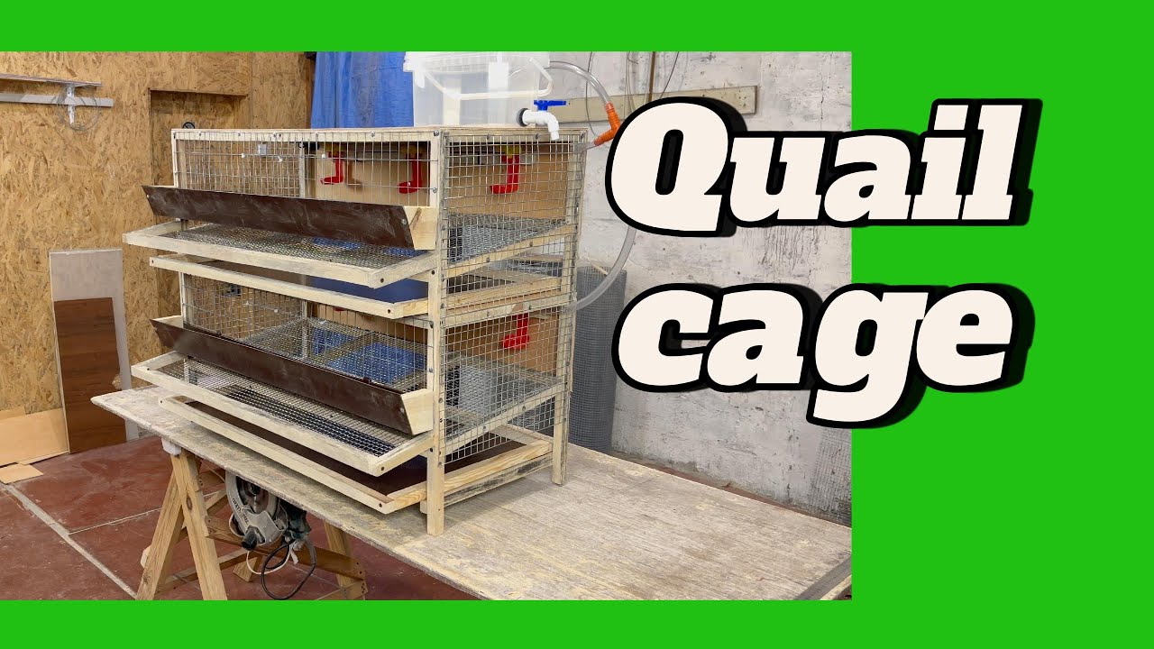 Cage FOR 50 QUAILS!!!