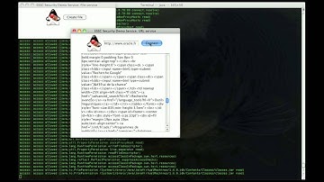Java Security Manager