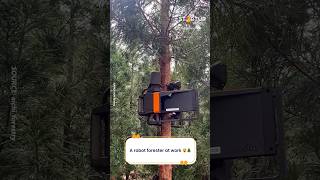 This machine climbs trees to prune them 🤖🌲