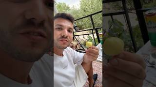 Download Lagu Cuşka (acı biber) masa gibi masa MP3 Download Lagu Cuşka (acı biber) masa gibi masa MP3