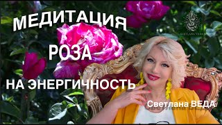 МЕДИТАЦИЯ РОЗА НА ЭНЕРГИЧНОСТЬ #онлайн #медитации #shorts #светланаведа