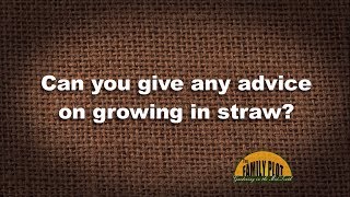 Q&A – Any advice on growing plants in straw?