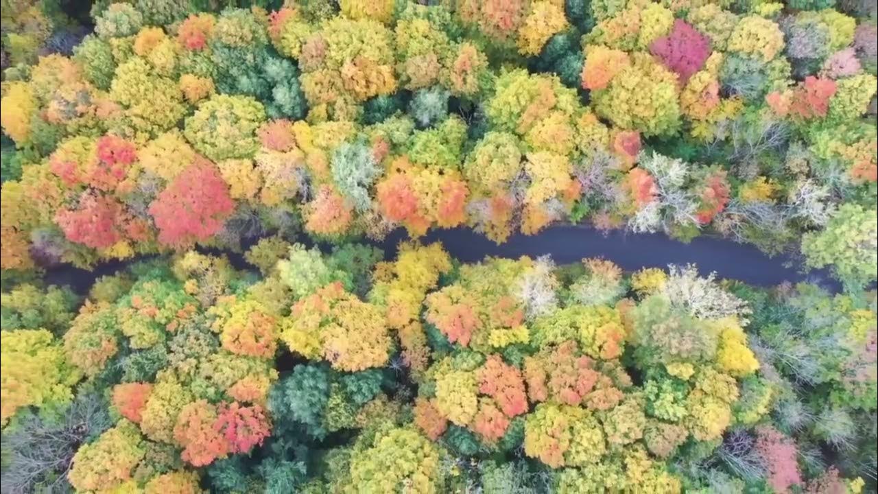TERRAIN 1 à Vendre BROMONT⛷ YouTube