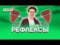 Рефлексы | Биология ОГЭ 2022 | Умскул