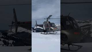 Airbus Helicopters H125 #helicopter #airbushelicopters #aviation #shortvideo #youtubeshorts #shorts