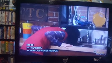 Paramount Global If You