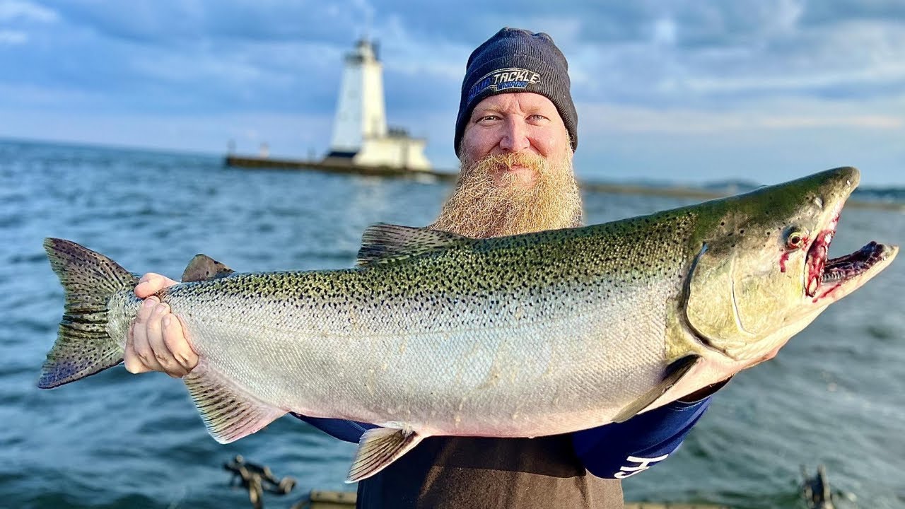 Jigging For King Salmon / The Most Fun Way To Catch Salmon! / Fishing Lake  Michigan Peirs & Harbors 