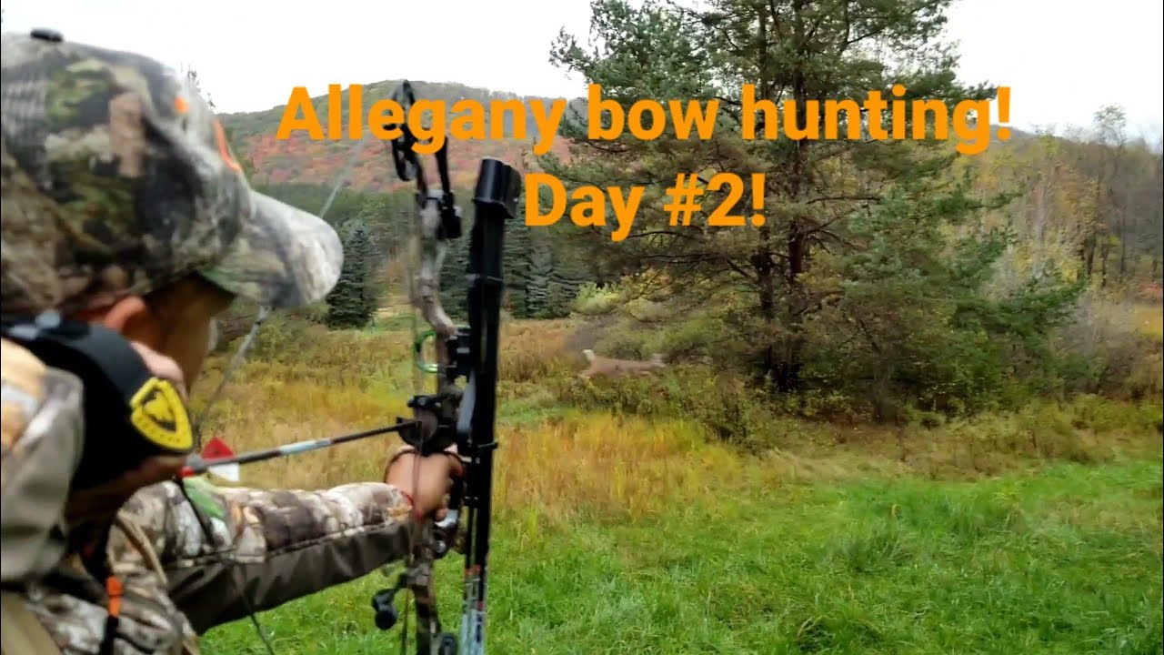 Allegany State Park Hunting Trip Day 2 YouTube allegany-state-park-hunting-trip-day-2-youtube