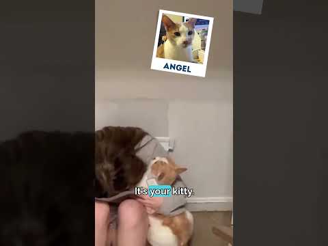 Girl Surprised with