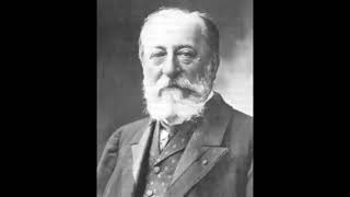 Camille Saint Saëns The carnival of the animals The Swan 1 hour