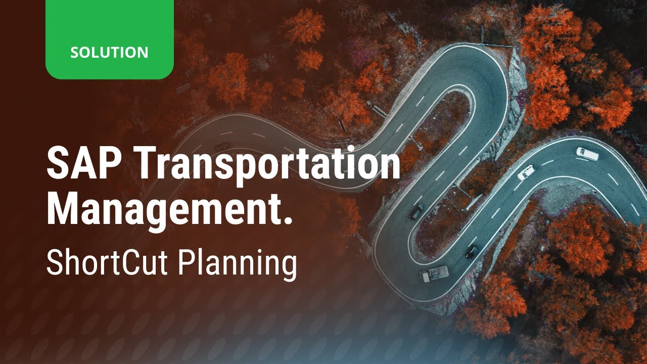 Управление транспортом в SAP. Быстрые методы планирования.