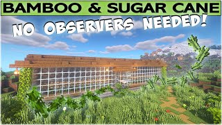 NO OBSERVERS NO NETHER Easy Minecraft Starter Farm Minecraft 1.18 Survival Bamboo & Sugar Cane Farm