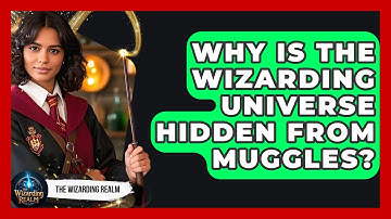 Why Is the Wizarding Universe Hidden From Muggles? - The Wizarding Realm
