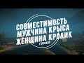 Совместимость мужчина Крыса и женщина Кролик