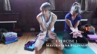 Asana Kitchen: Mayurasana Beginner Exercises with David Garrigues 