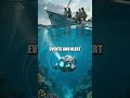 Coral AI Navigator: Reef Rescue in Real Time