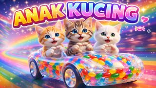 LAGU ANAK 🇮🇩 ANAK KUCING MEONG MEONG - KITTEN SONG - LAGU ANAK BALITA VIRAL