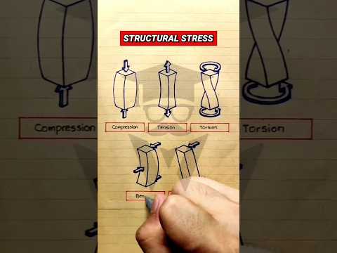 5 Types of