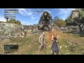 DDON ダウンとったどー えっ!?