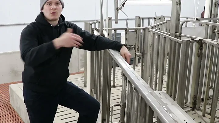 AgweekTV: New Boar Stud Facility Set to Open