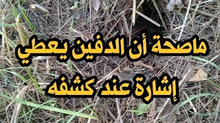 هل فعلا عند كششف الدافين أو الككنز تلتقط الاقمار الصناعية إشارته للجهات الرسمية ويتم التبليغ