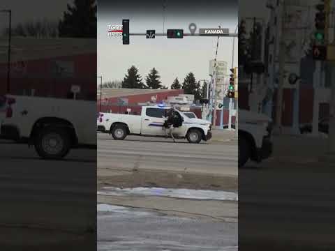 Burası Kanada! Deve Kuşları Kaçtı Polis Kovaladı #shorts #devekuşu #kanada #polis #barınak