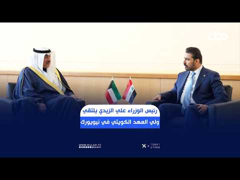 Prime Minister Ali Al-Zaidi discusses coordination on borders and electrical interconnection with...