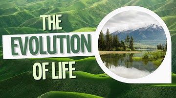 The Evolution of Life: From Simple Cells to Complex Organisms