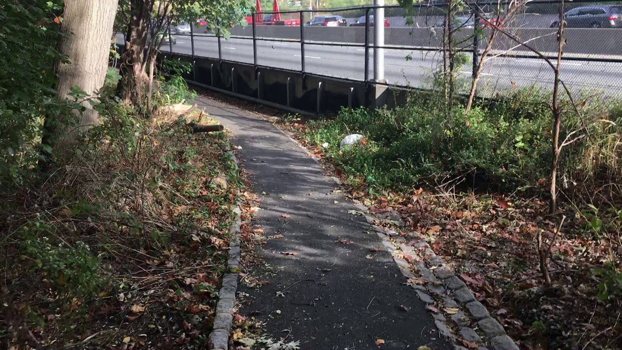 Alley Pond Park Giant Exact Location YouTube