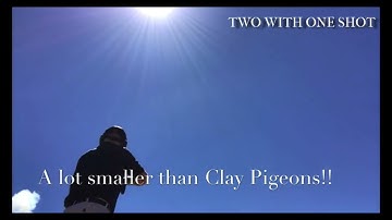 Never seen ‘Flash Clays’ like these! @billpearce2022