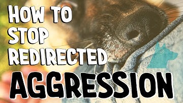 How to stop redirected aggression | MUST WATCH! 🤯