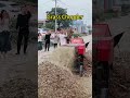 #farming #cultivation#chaff cutter