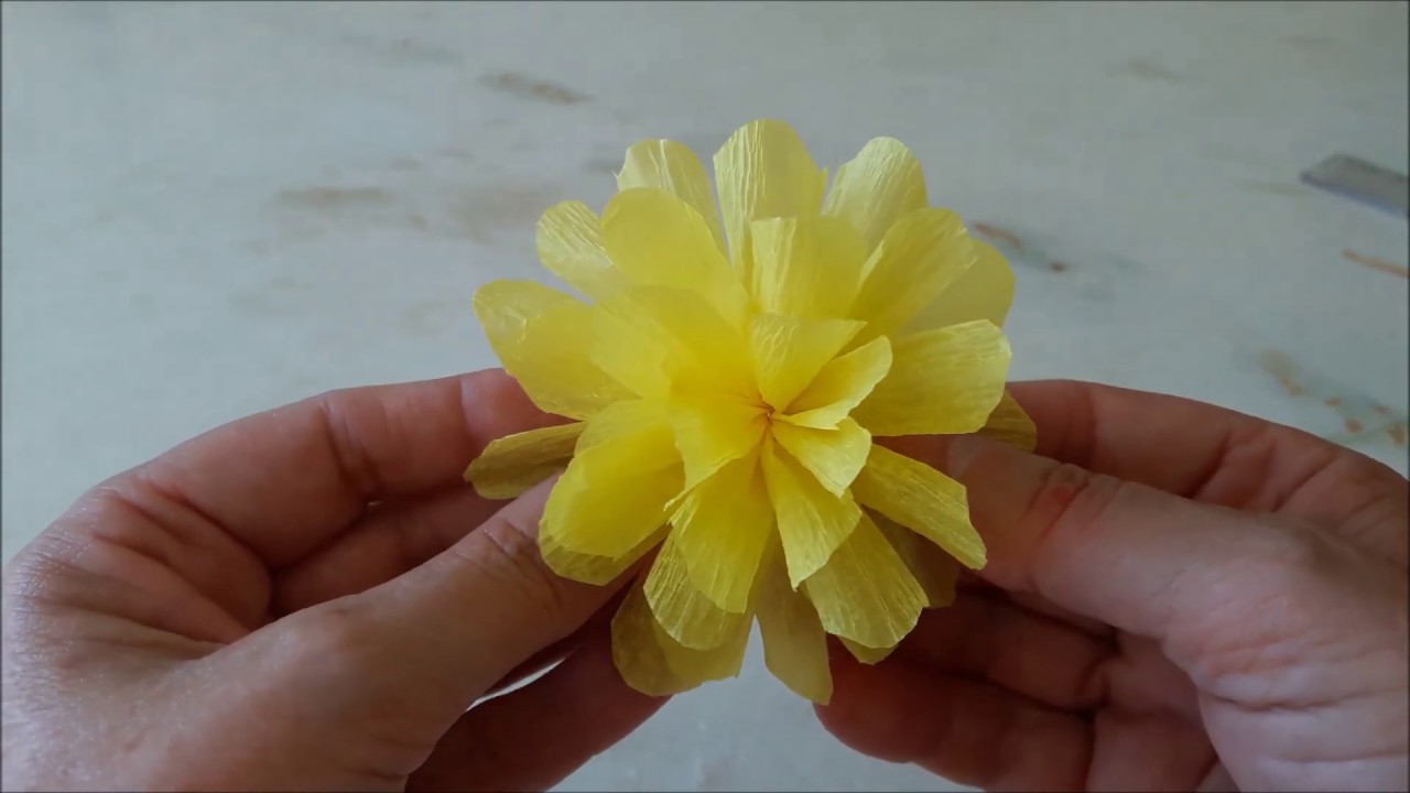 Diy Rosa Branca de Papel Crepom com Contorno Dourado (Flor de Papel Crepom)  - thptnganamst.edu.vn