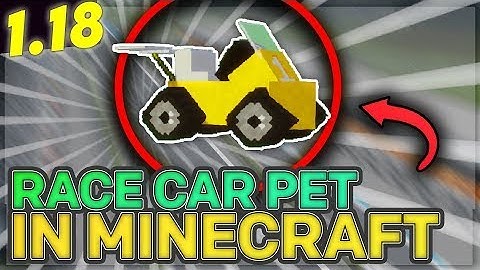 Race Cars In Minecraft Server  - Spigot Pets Plugin 1.8 - 1.18+